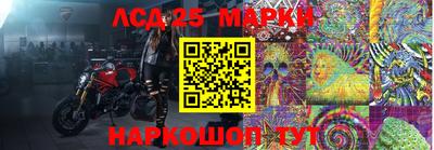 бошки Кимры