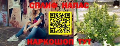 бошки Кимры