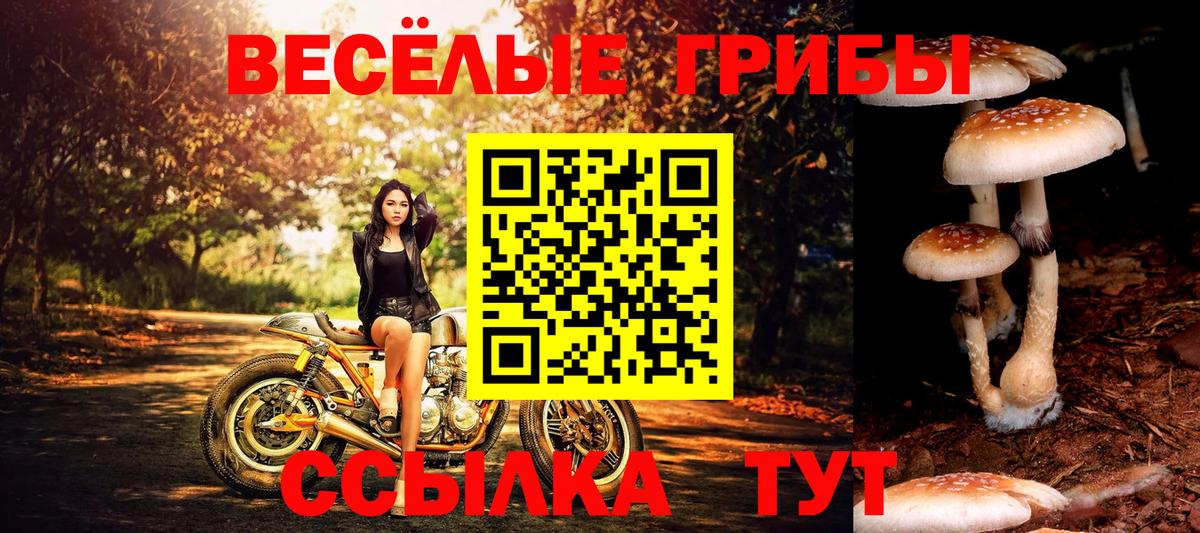 Псилоцибиновые грибы мухоморы  Вход с VPN  Кыштым 