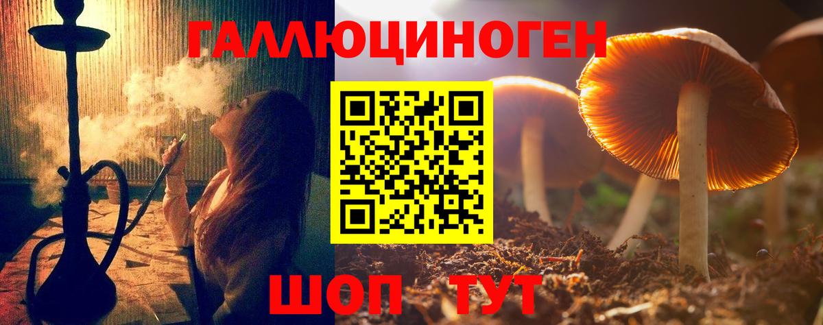 Псилоцибиновые грибы прущие грибы Кыштым